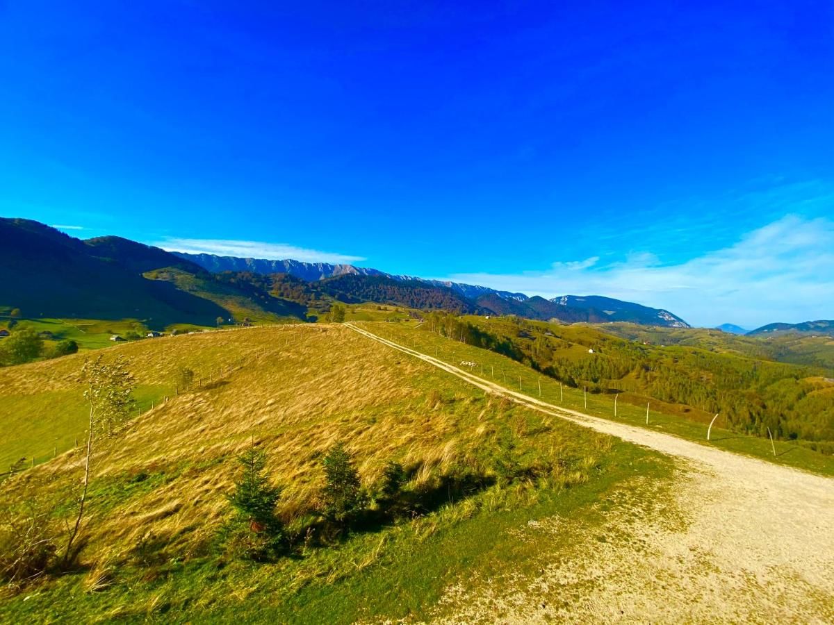 Гостевой дом Pensiunea SUNRISE HOUSE Брашов-5