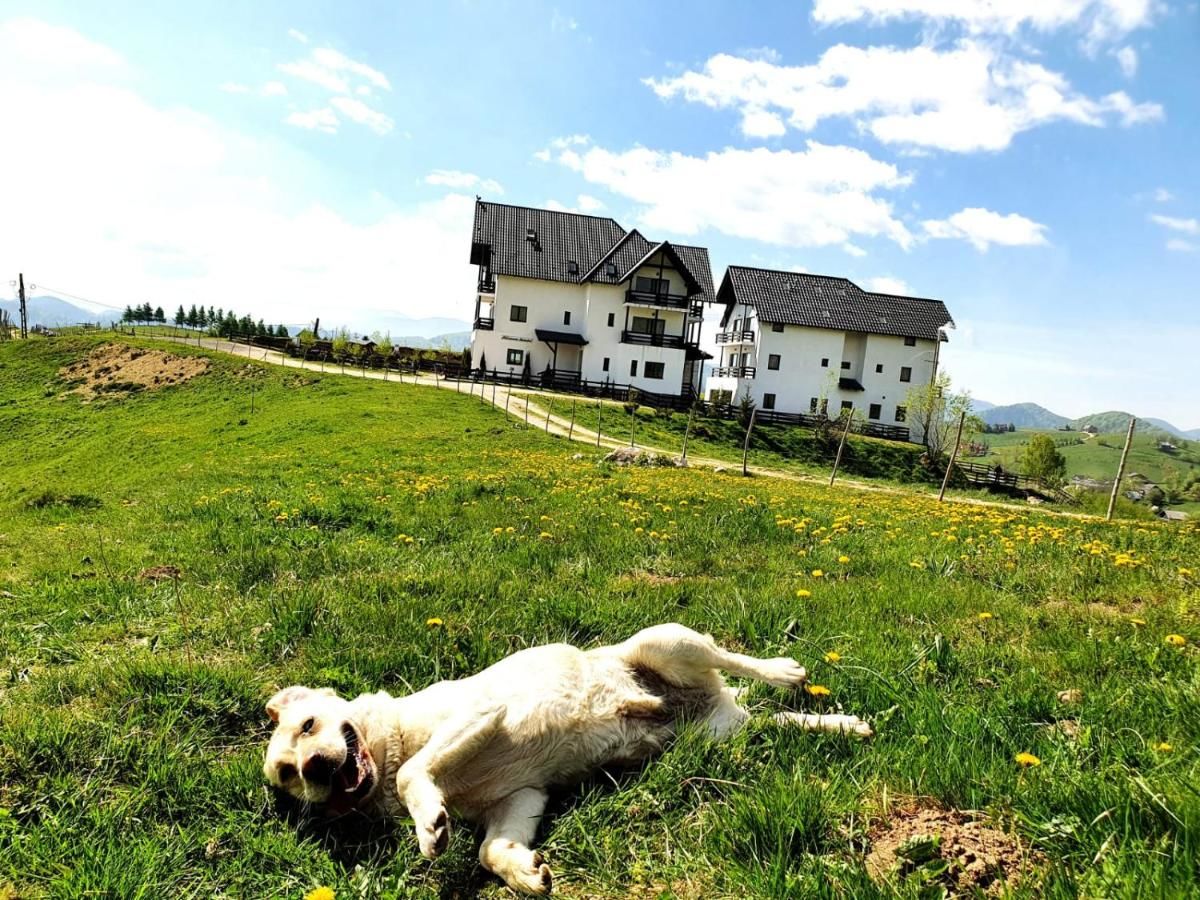 Гостевой дом Pensiunea SUNRISE HOUSE Брашов-33