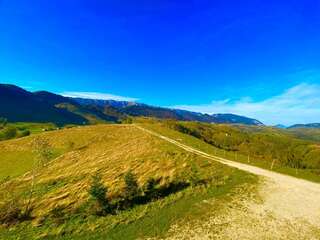 Гостевой дом Pensiunea SUNRISE HOUSE Брашов-1